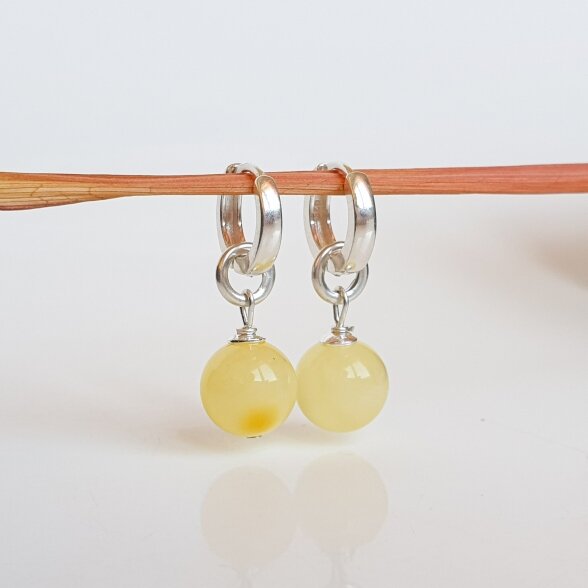 Natūralaus šviesaus Baltijos gintaro auskarai 3