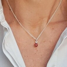 Sidabrinis kolje su granato akmeniu „Gyvybingumas“ Sidabrinis kolje su granato akmeniu „Gyvybingumas“