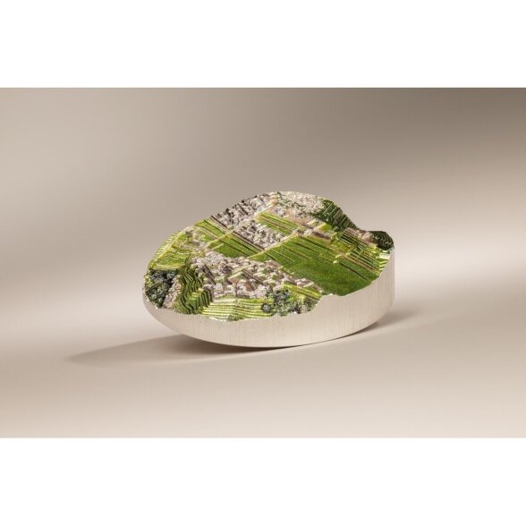 Sidabrinė spalvomis puošta moneta, imituojanti Maču Pikču 4